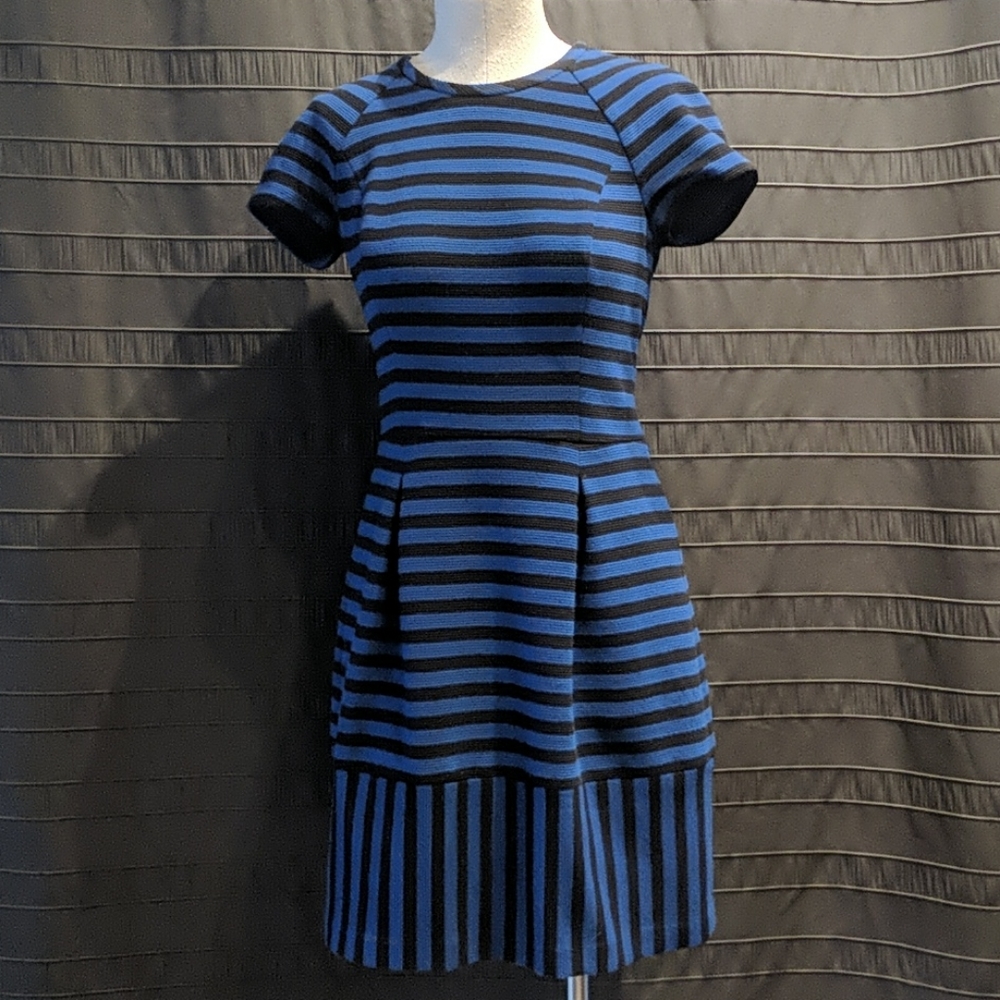 Banana Republic Blue Black Stripe Dress 4